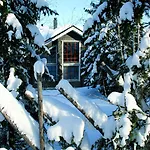 Vuokatin Aateli Tsaari 沃卡蒂