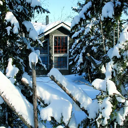 Vuokatin Aateli Tsaari Vuokatti