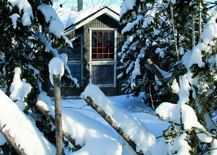 Vuokatin Aateli Tsaari Vuokatti